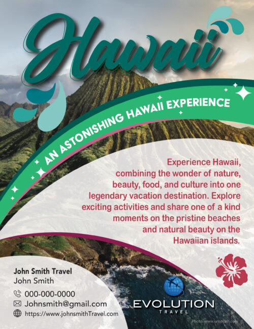 Digital Hawaii Custom Marketing Flyer 1
